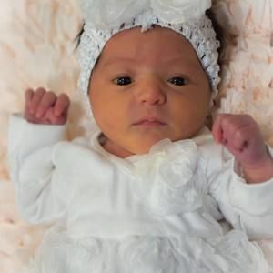 Meet your Posher, Doug